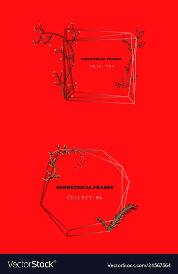 Floral elegant botanical card design with vector image