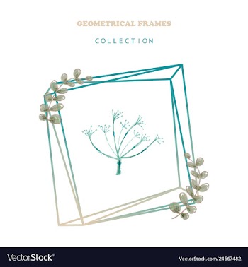 Floral elegant botanical card design with vector image