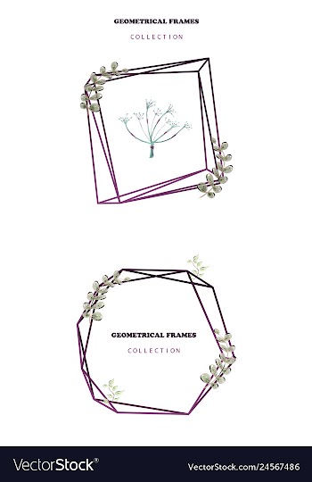 Floral elegant botanical card design with vector image