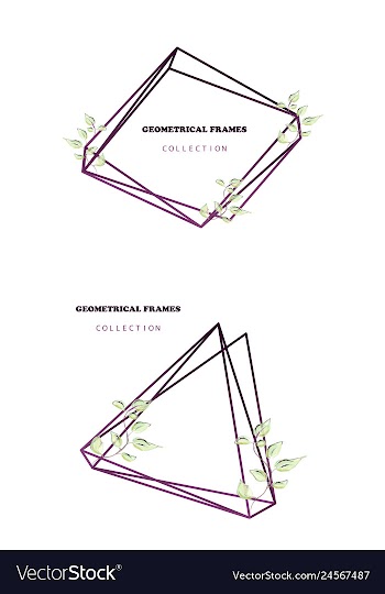 Floral elegant botanical card design with vector image