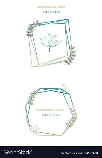 Floral elegant botanical card design with vector image