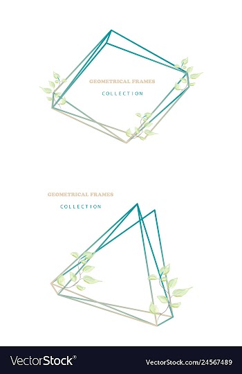 Floral elegant botanical card design with vector image