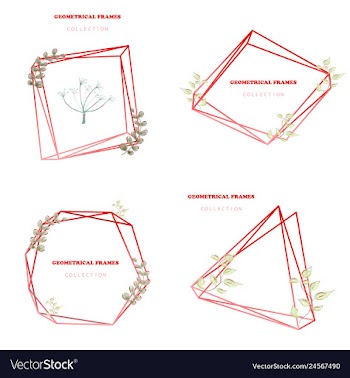 Floral elegant botanical card design with vector image