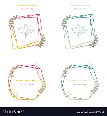 Floral elegant botanical card design with vector image