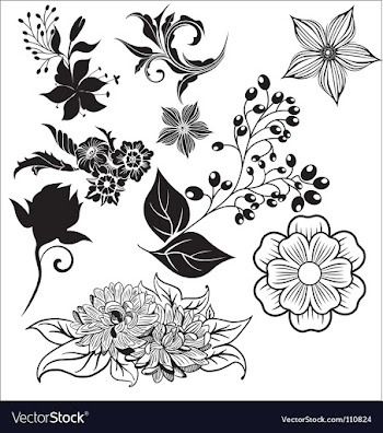 Floral elements vector image