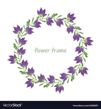 Floral elementscolorful floral collection with vector image