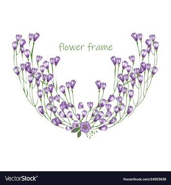 Floral elementscolorful floral collection with vector image
