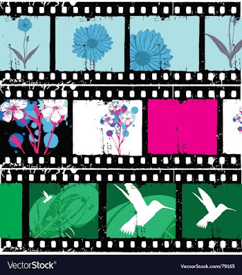 Floral film strips vector image