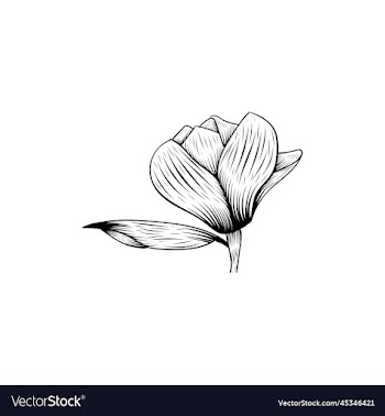 floral flower beauty lineart design