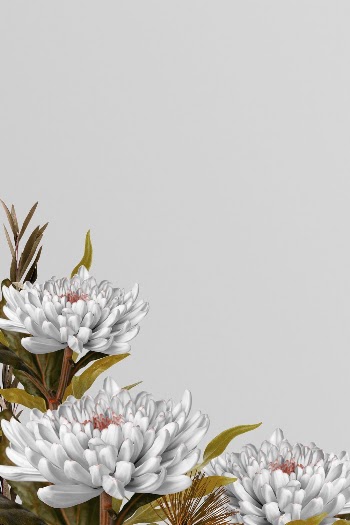 Floral frame background, flowers, botanical | Free Photo - rawpixel