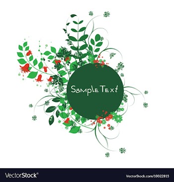 Floral frame vector image
