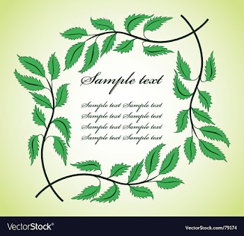 Floral frame vector image