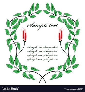 Floral frame vector image