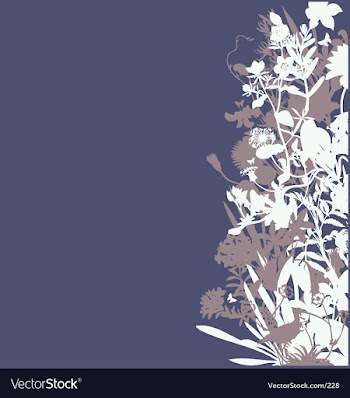 Floral garden graphic frame vector image
