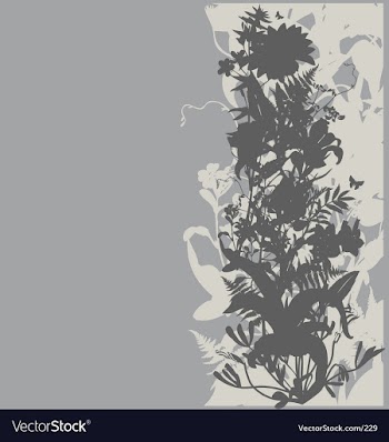 Floral garden graphic frame vector image