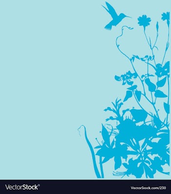 Floral garden graphic frame vector image