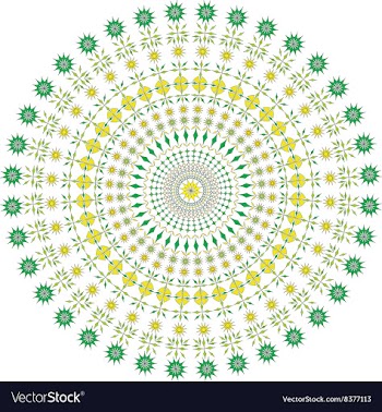 Floral geometric pattern of flowers and stars vector image