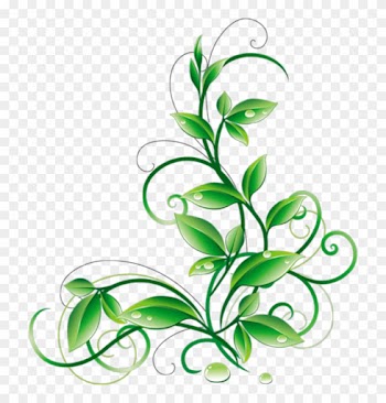 Floral Green Leaves And Water Droplets Png Clipart - Green Corner Border Png