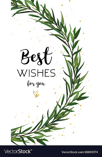  					Floral greeting card design eucalyptus green vector image														
