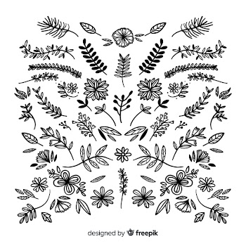 Floral hand drawn ornament collection Free Vector