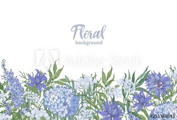 Floral horizontal backdrop decorated with spring blooming garden flowers growing at bottom edge on white background