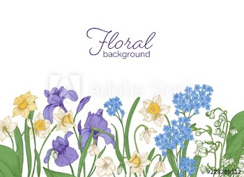 Floral horizontal backdrop decorated with spring meadow and woodland blooming flowers growing at bottom edge on white background