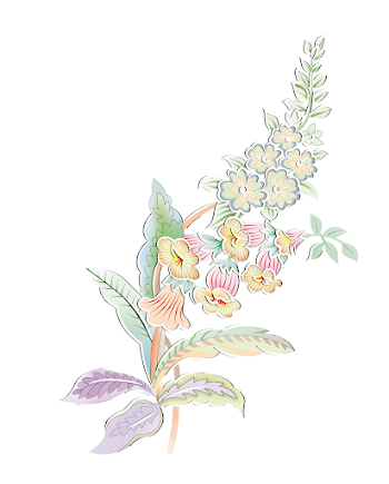Floral Illustration with Pastel Colors