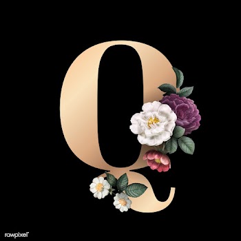 Floral letter Q font | Free stock vector - 583214