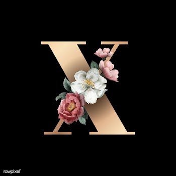 Floral letter X font | Free stock vector - 583162