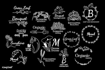 Floral logo designs set | Free stock vector - 591920