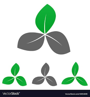 Floral Logo Set vector image