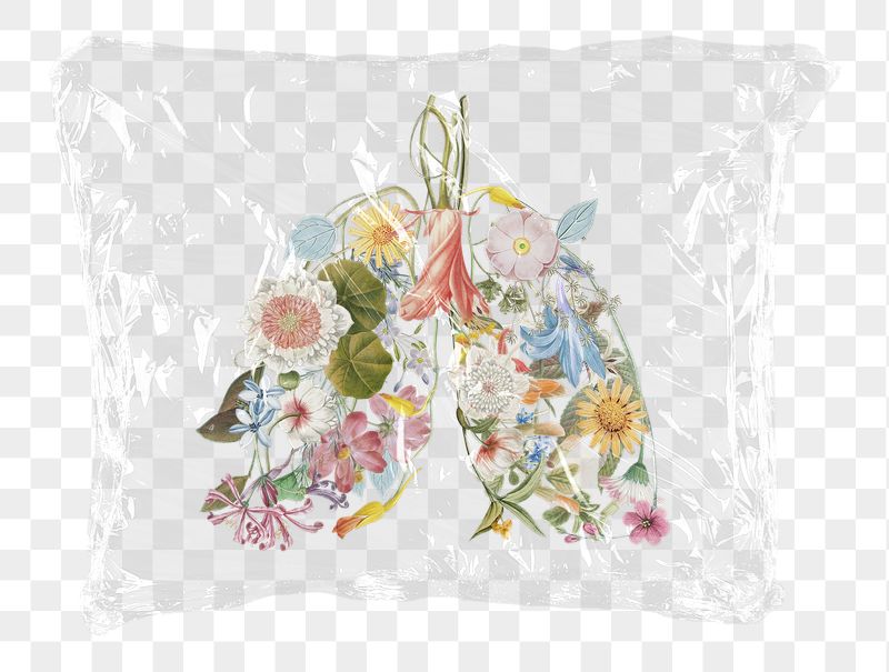Floral lungs png plastic bag | Free PNG - rawpixel