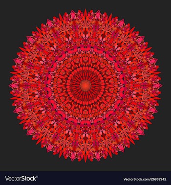 Floral mandala - abstract graphic design vector image