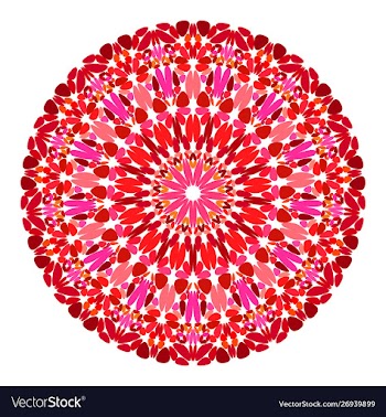 Floral mandala design - graphic design vector image