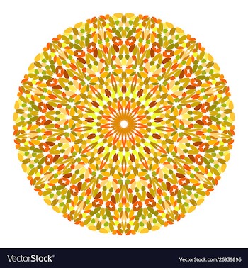 Floral mandala design - graphic vector image