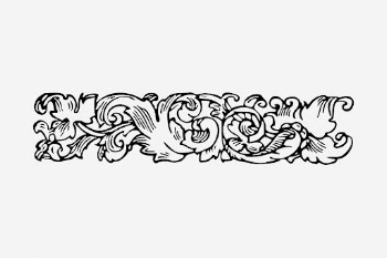 Floral ornament divider drawing, vintage | Free Photo - rawpixel