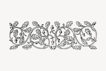 Floral ornament divider hand drawn | Free Vector Illustration - rawpixel