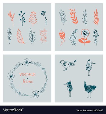 Floral ornament of leaves flowers swirls vector image