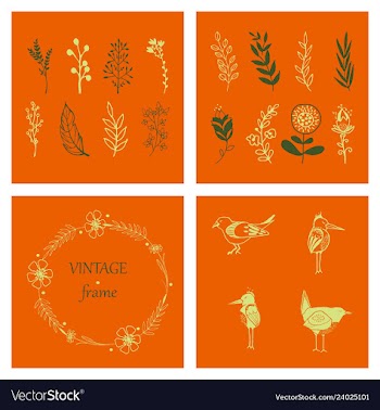 Floral ornament of leaves flowers swirls vector image
