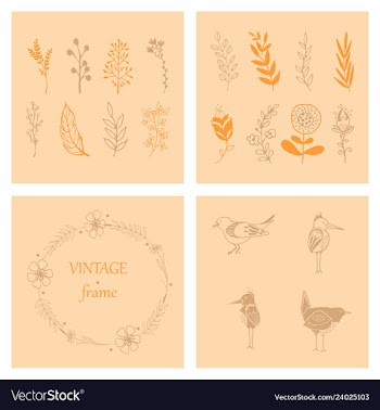 Floral ornament of leaves flowers swirls vector image