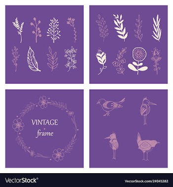 Floral ornament of leaves flowers swirls vector image