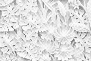 Floral ornament  png overlay, | Free PNG - rawpixel