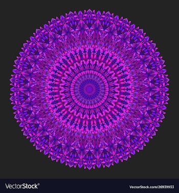 Floral ornamental mandala graphic - design element vector image