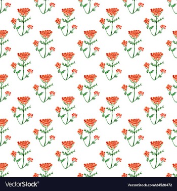 Floral pattern in style vector image