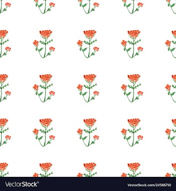 Floral pattern in style vector image