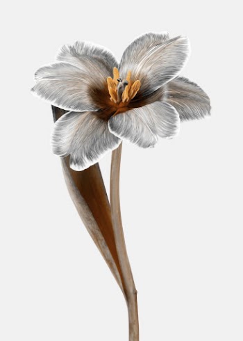 Floral poster, greige flower, botanical | Free Photo - rawpixel