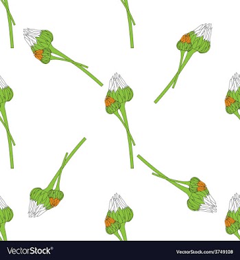 Floral seamless background vector image