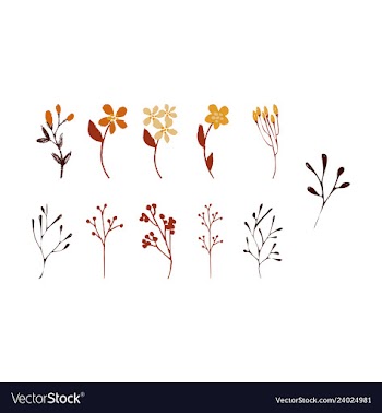 Floral seamless pattern vector image