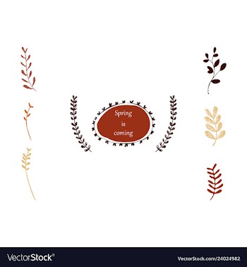 Floral seamless pattern vector image