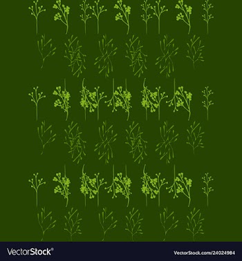 Floral seamless pattern vector image